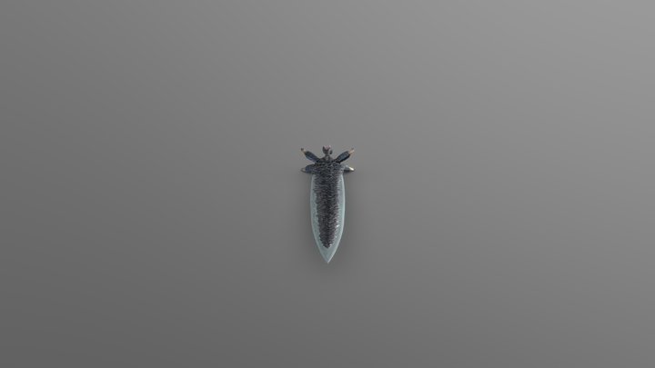 Devil Sword Dante 3D Model