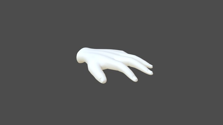 3D_Hand 3D Model