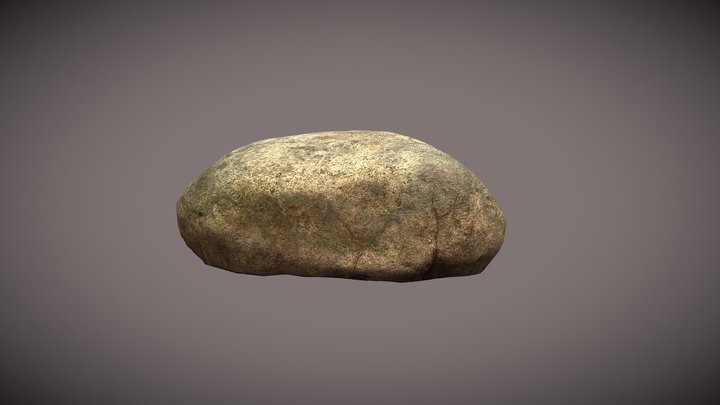 3D Scan Backyard Rock 3D Model