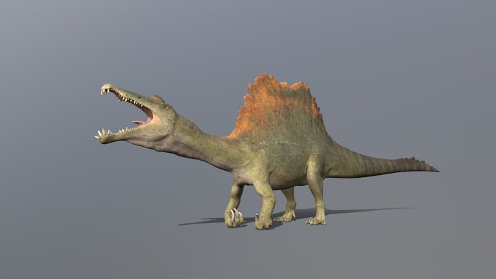 Accurate Spinosaurus Animated (Dino Dana) 3D Model