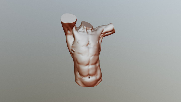 DFS week01.01 male torso 3D Model