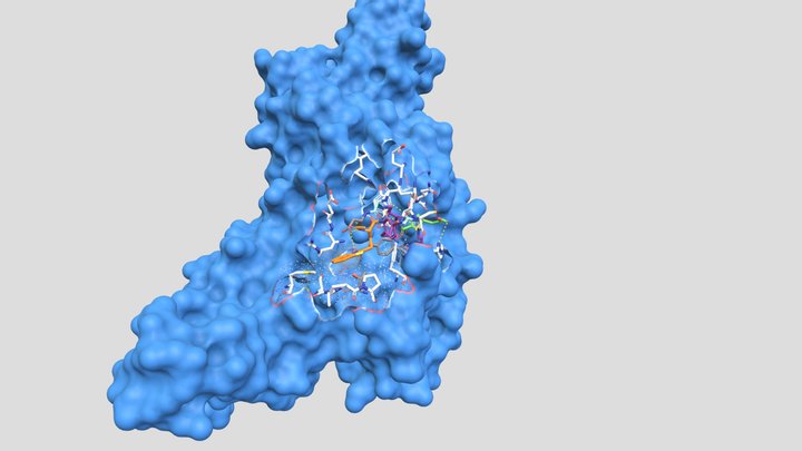 nCoV-2 PLpro interaction with VIR250 inhibitor 3D Model