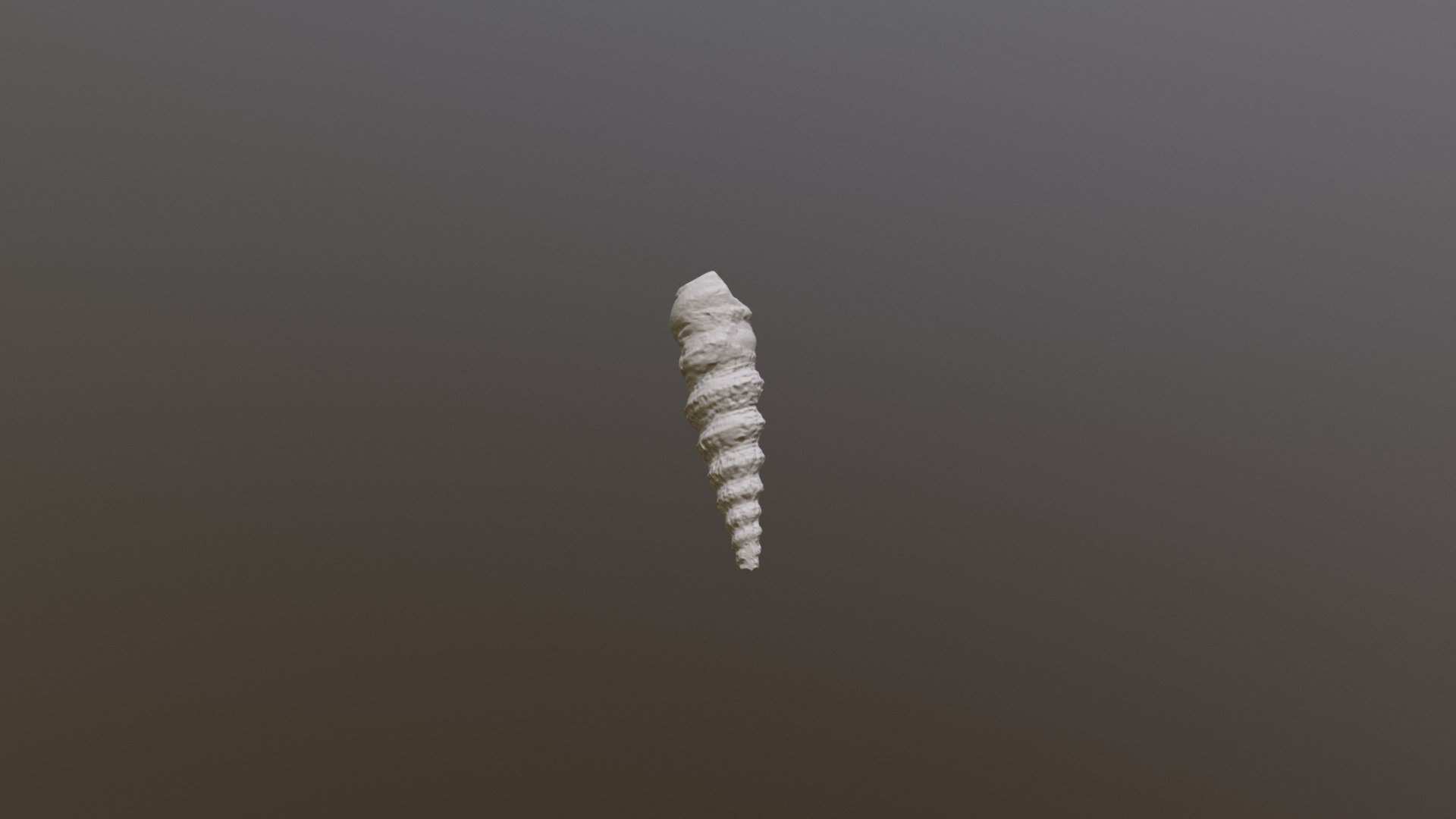 Gastropod