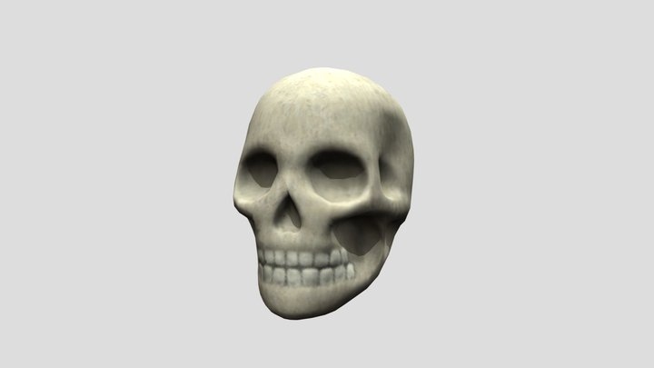 Skull - Martijn P 3D Model