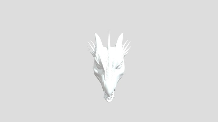 Chir Head CSP Model 3D Model