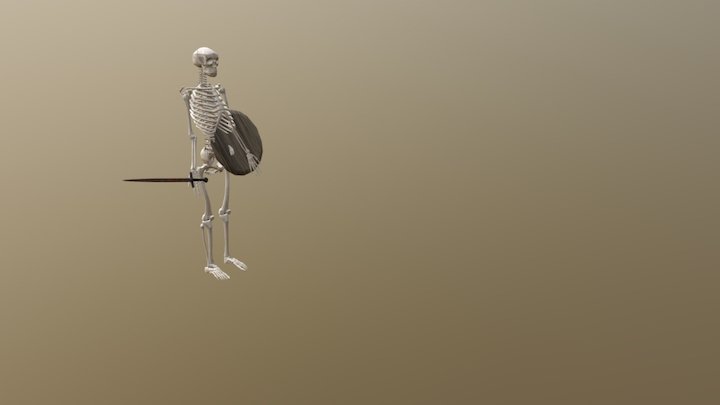 PSBF Skeleton 3D Model