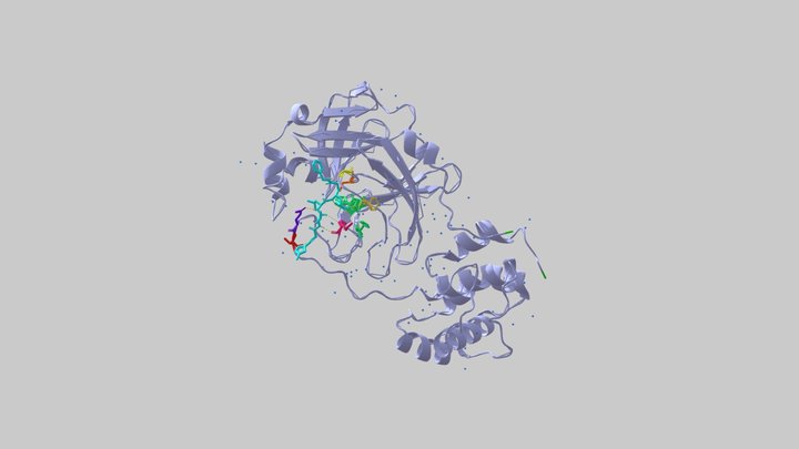 COVID-19 protease and inhibitor N3. 3D Model
