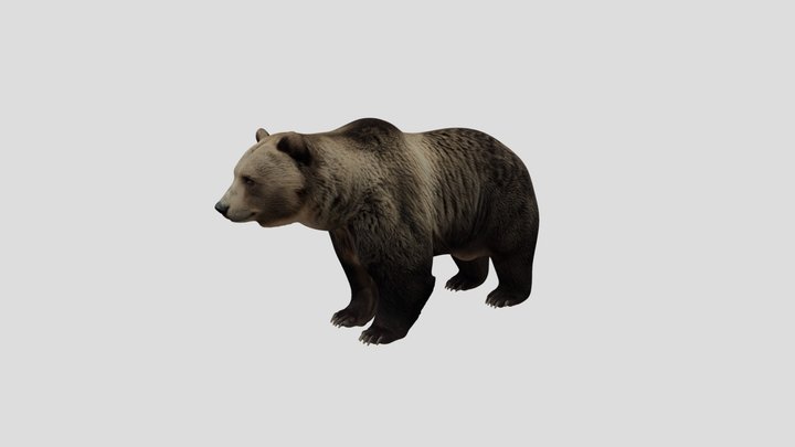 Brown Bear In Profile – Kostenloses 3D-Modell STL