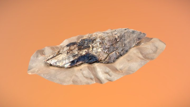 DriftWood_01_LP_final 3D Model