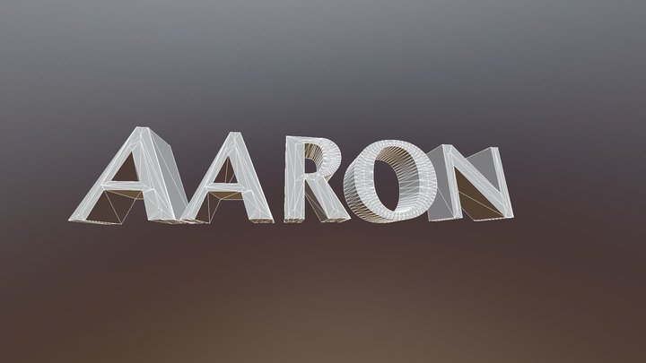 Aaron 3D Model