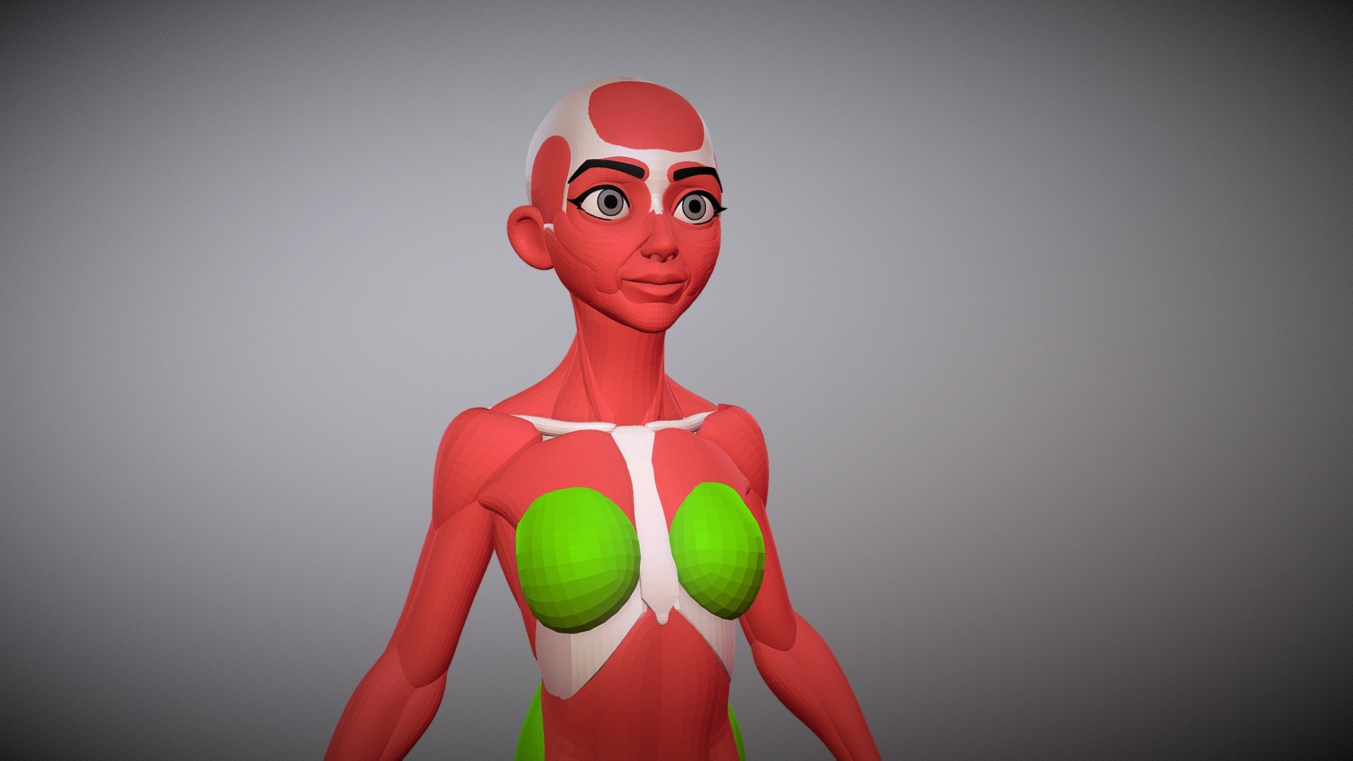 Stylized Female Anatomy Ecorche Buy Royalty Free 3d Model By Georgazaky108 28af9f7 7418