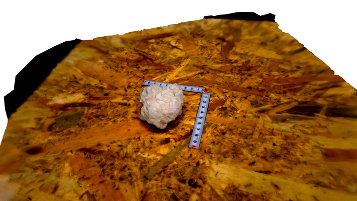 halit 3D Model