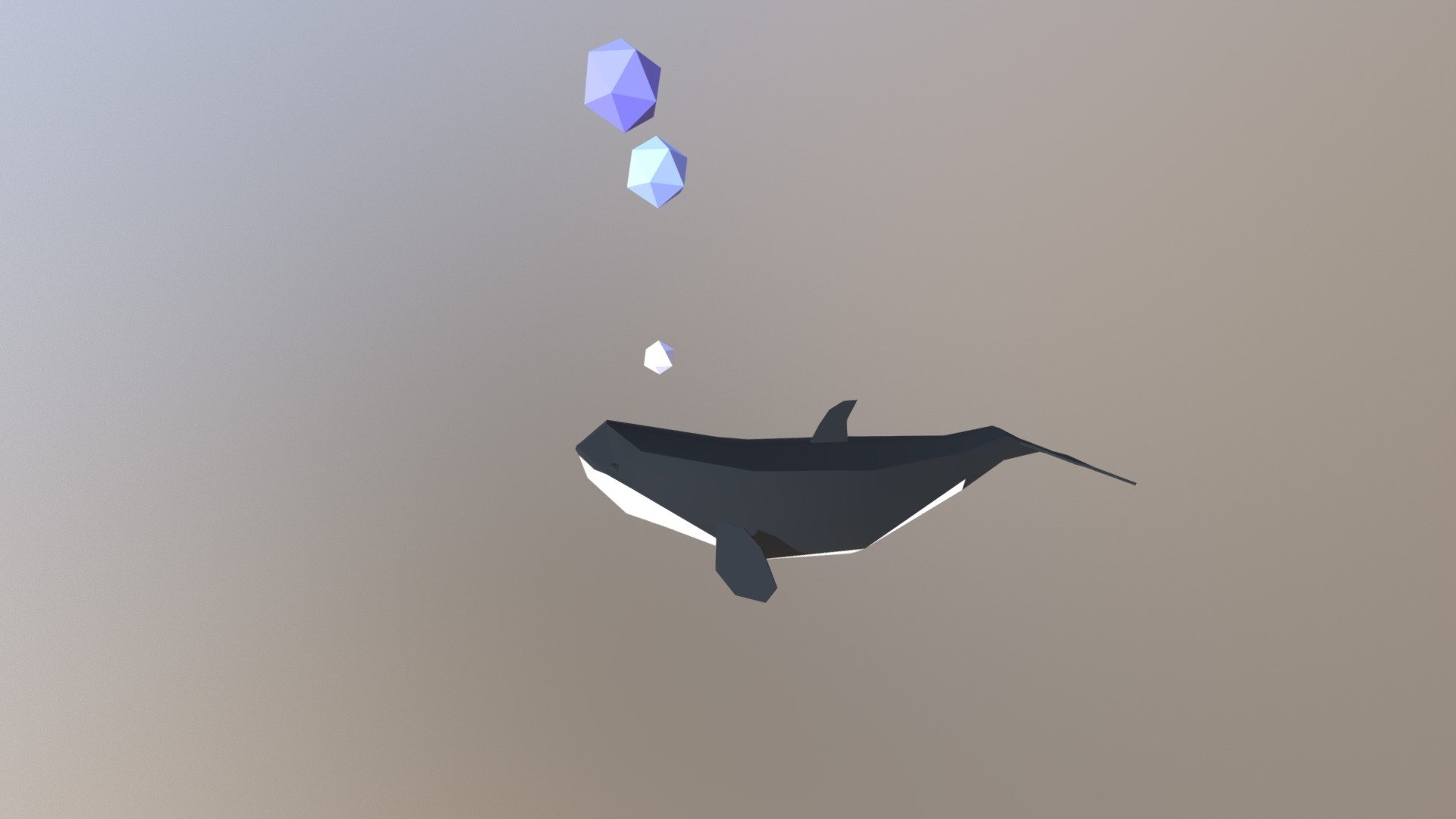 Killerwhale - Download Free 3D model by lisionkova [28b2bb8] - Sketchfab