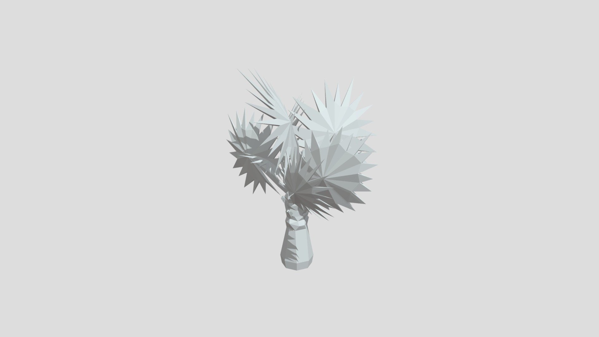 Bismarck palm tree from Poly by Google