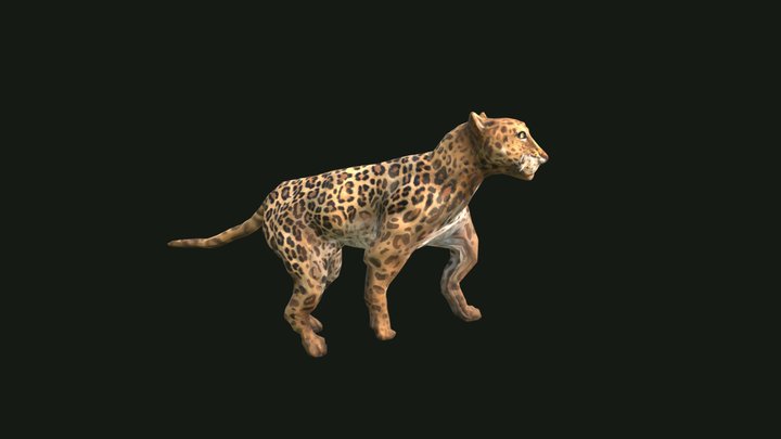 Leopard Jump 3D Model