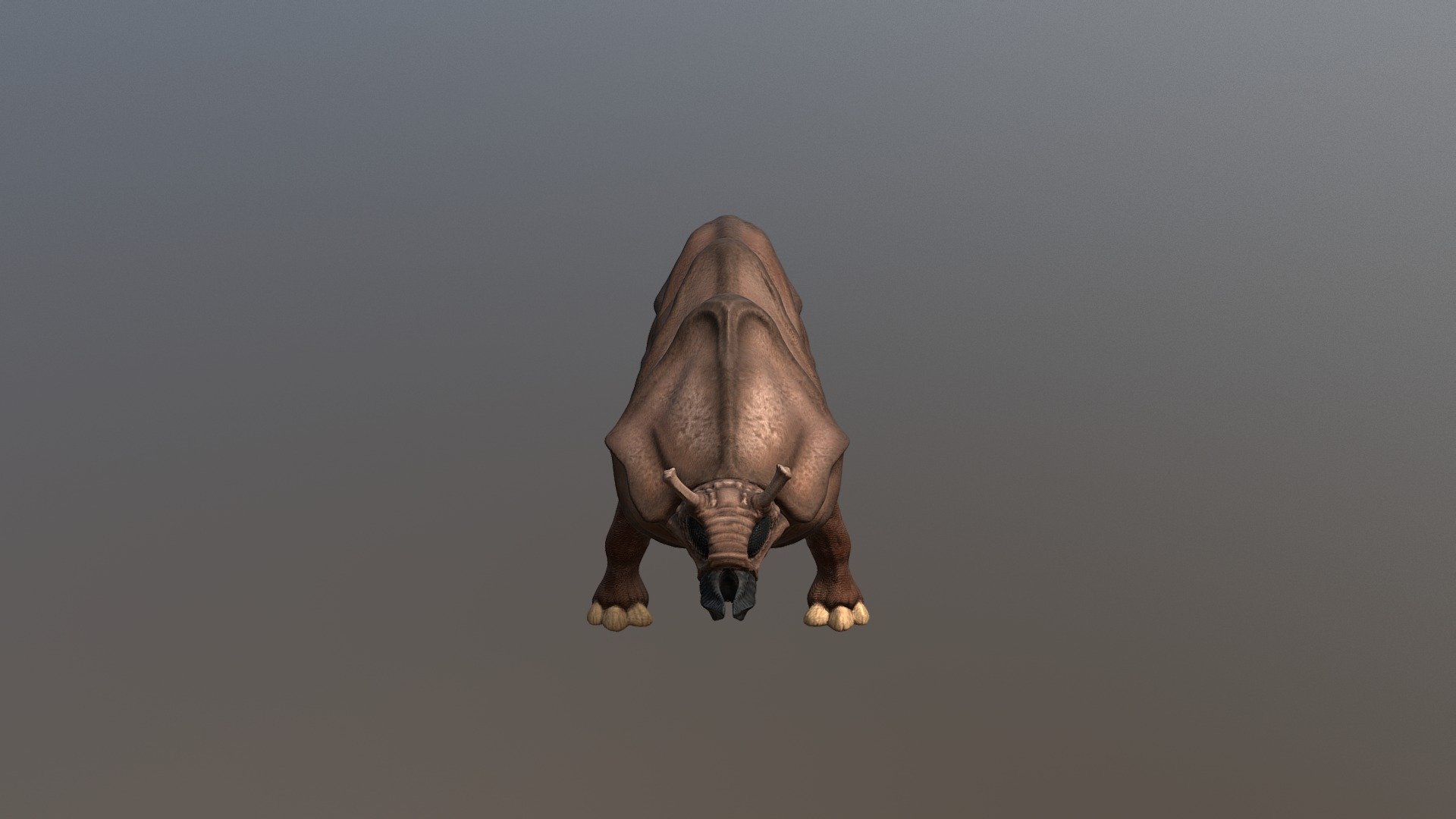 Rhino Bug Textures