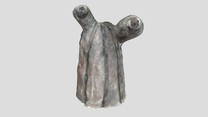 2eyes 3D Model