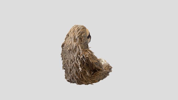 Scan 2022-05-12T16:36:24.884Z 3D Model