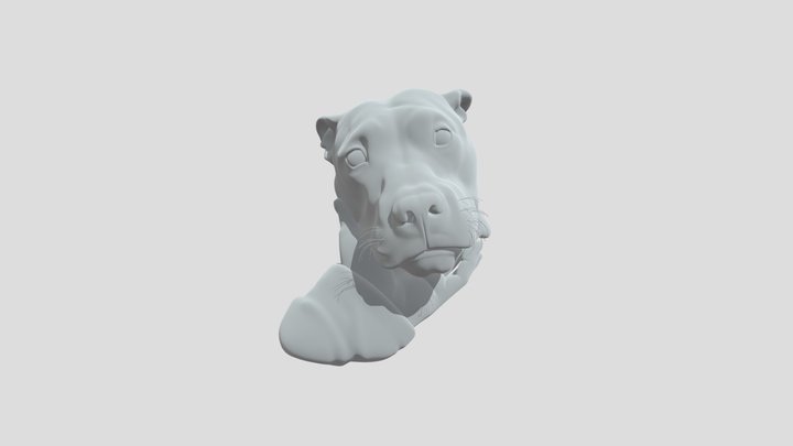 model 3D Model