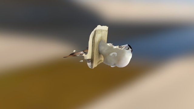 Test2 3D Model
