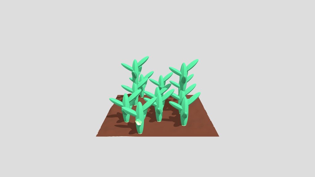 Cactus- Forest