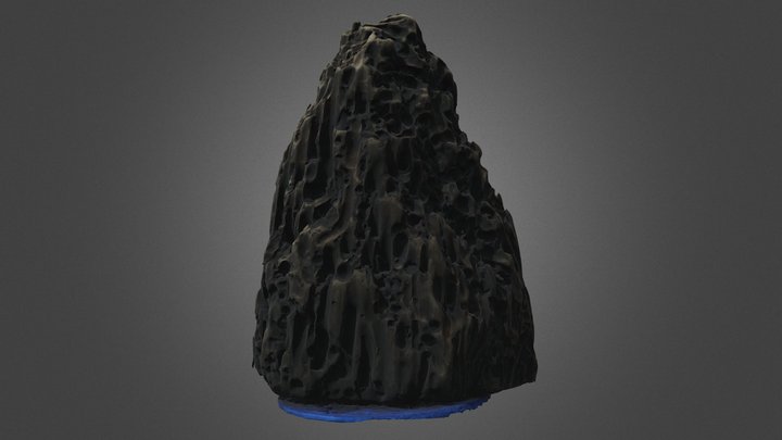 Driftwood 3D Model