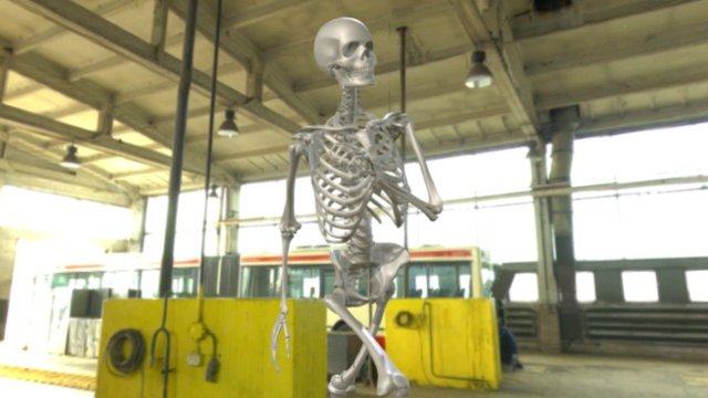 3d Model Human Skeleton2