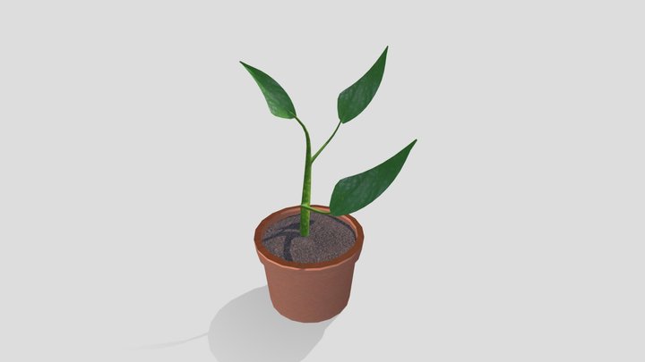 plant project 3D Model