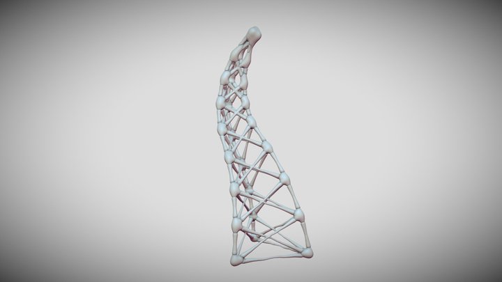 Wireframe Skeleton 3D Model