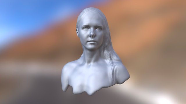 HEAD-LOW 3D Model