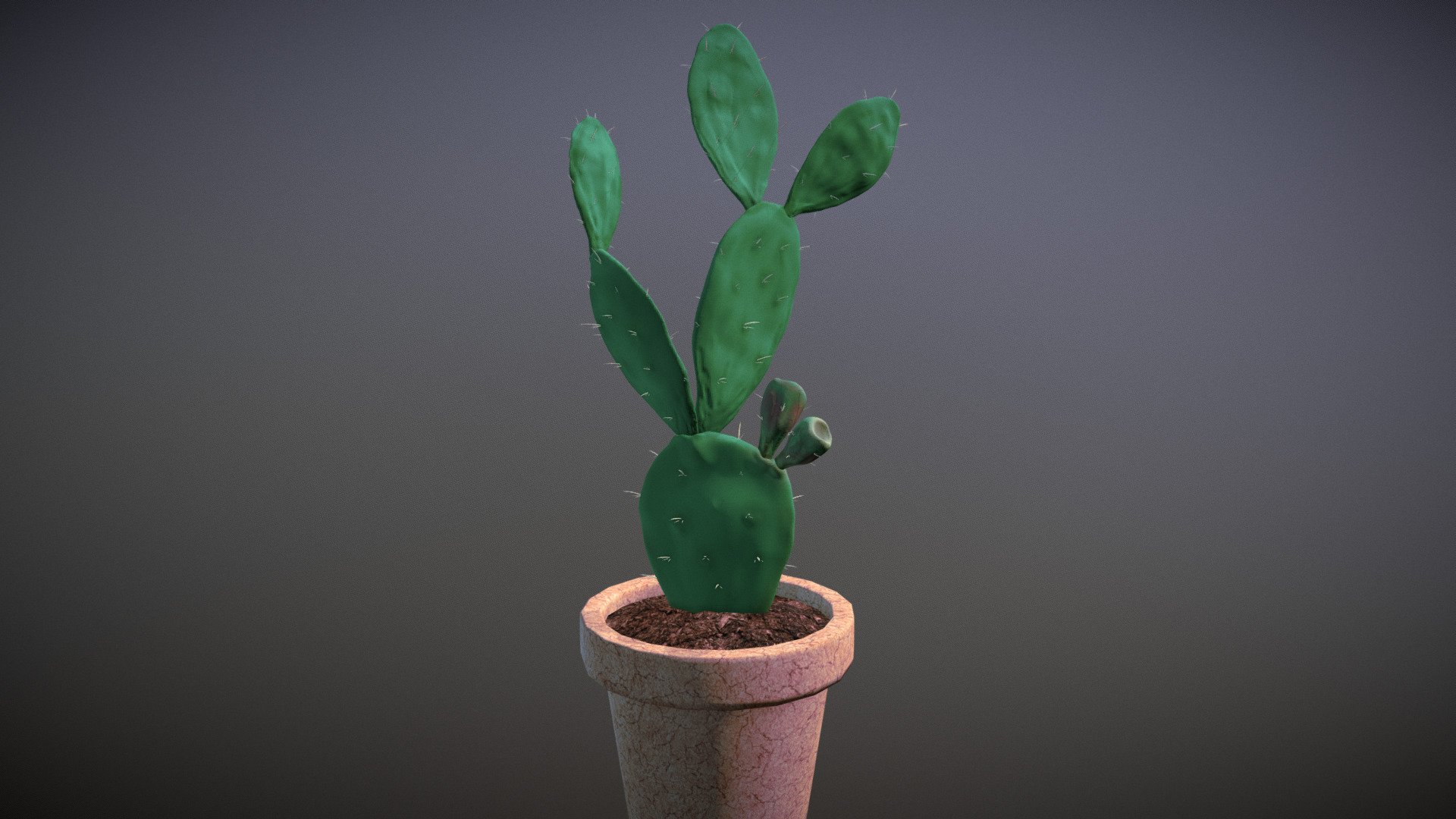Opuntia Cacti Download Free 3D model by Robert Einsiedel (robert