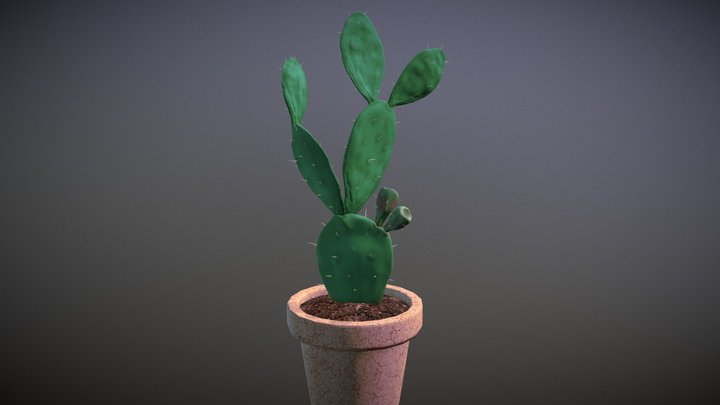 Opuntia Cacti 3D Model