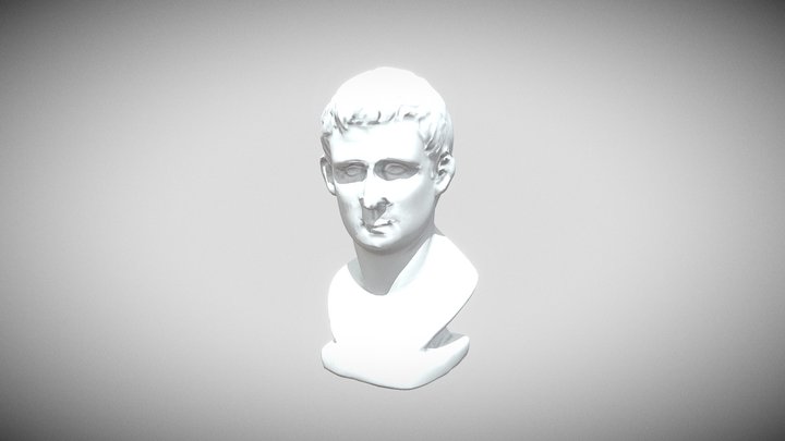 Bust - Shining3D 3D Model