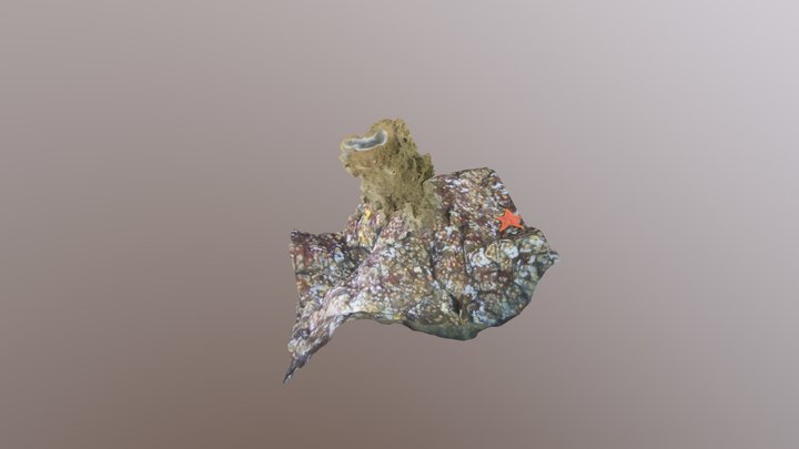 McKenzie Bight Boot Sponge 3D Model
