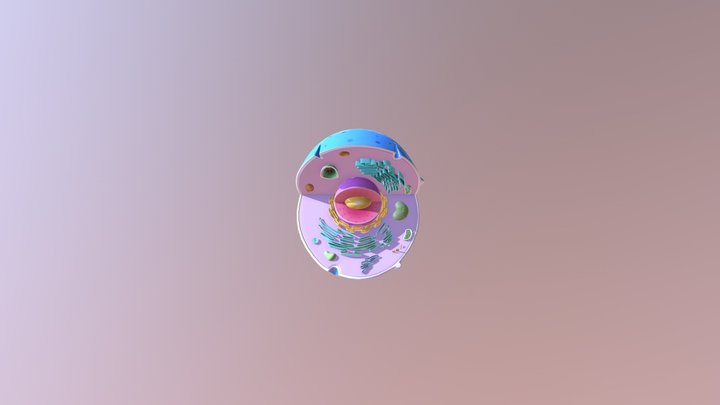 animal cell 3D Model