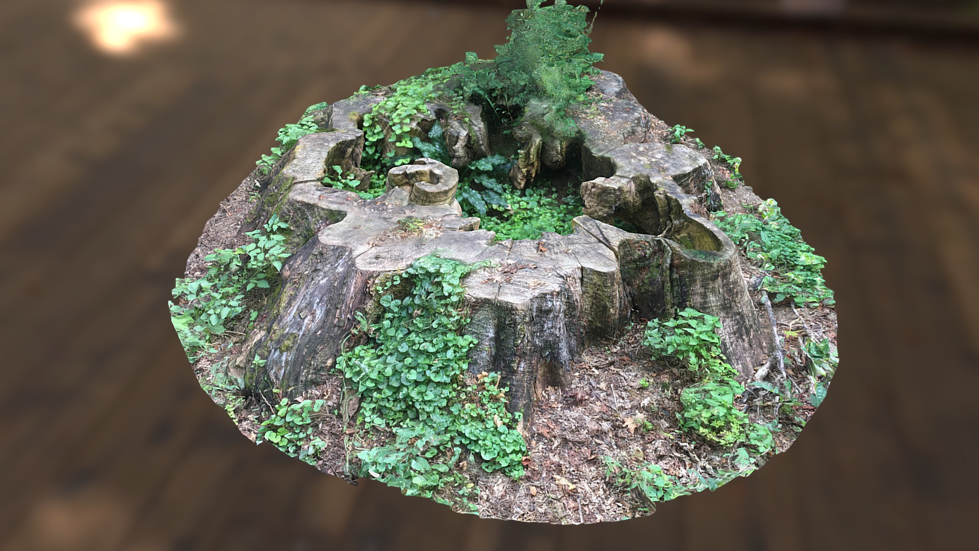 3D model Epic Tree Trunk – ‘Hidden Jungle’ - This is a 3D model of the Epic Tree Trunk - 'Hidden Jungle'. The 3D model is about a view of a cave.