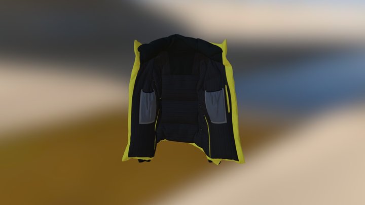 downcoat 3D Model