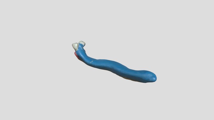 blue snake – Kostenloses 3D-Modell STL
