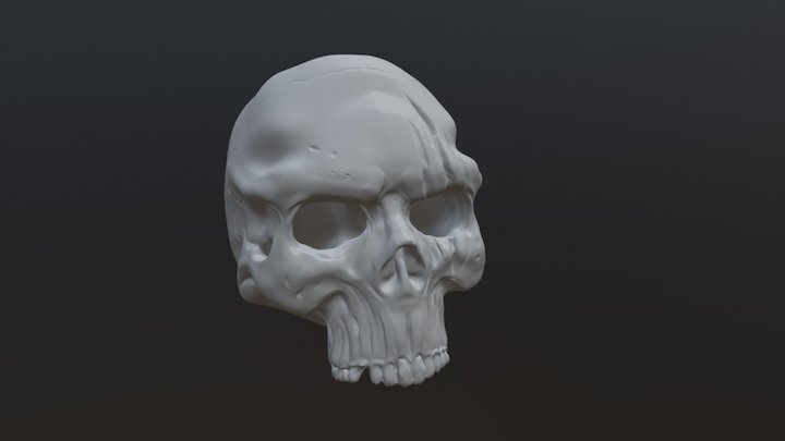 Skull WIP 3D Model