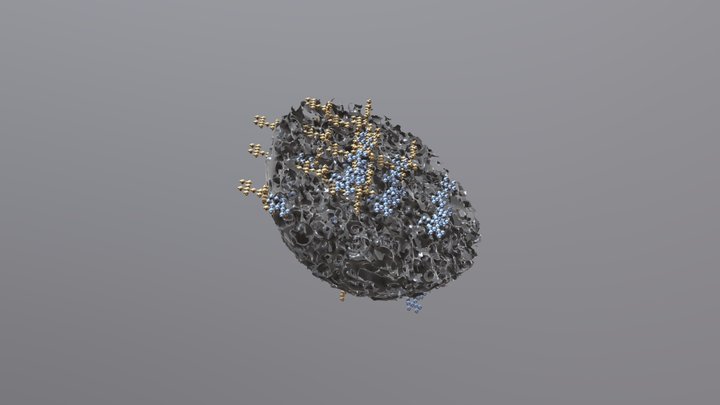 Schnitt durch Pflanzenkohle/Biochar cut 3D Model
