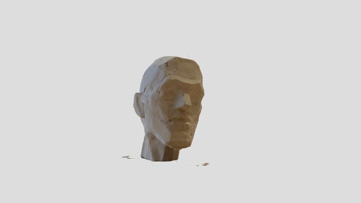 Planar head homemade plaster 3D Model