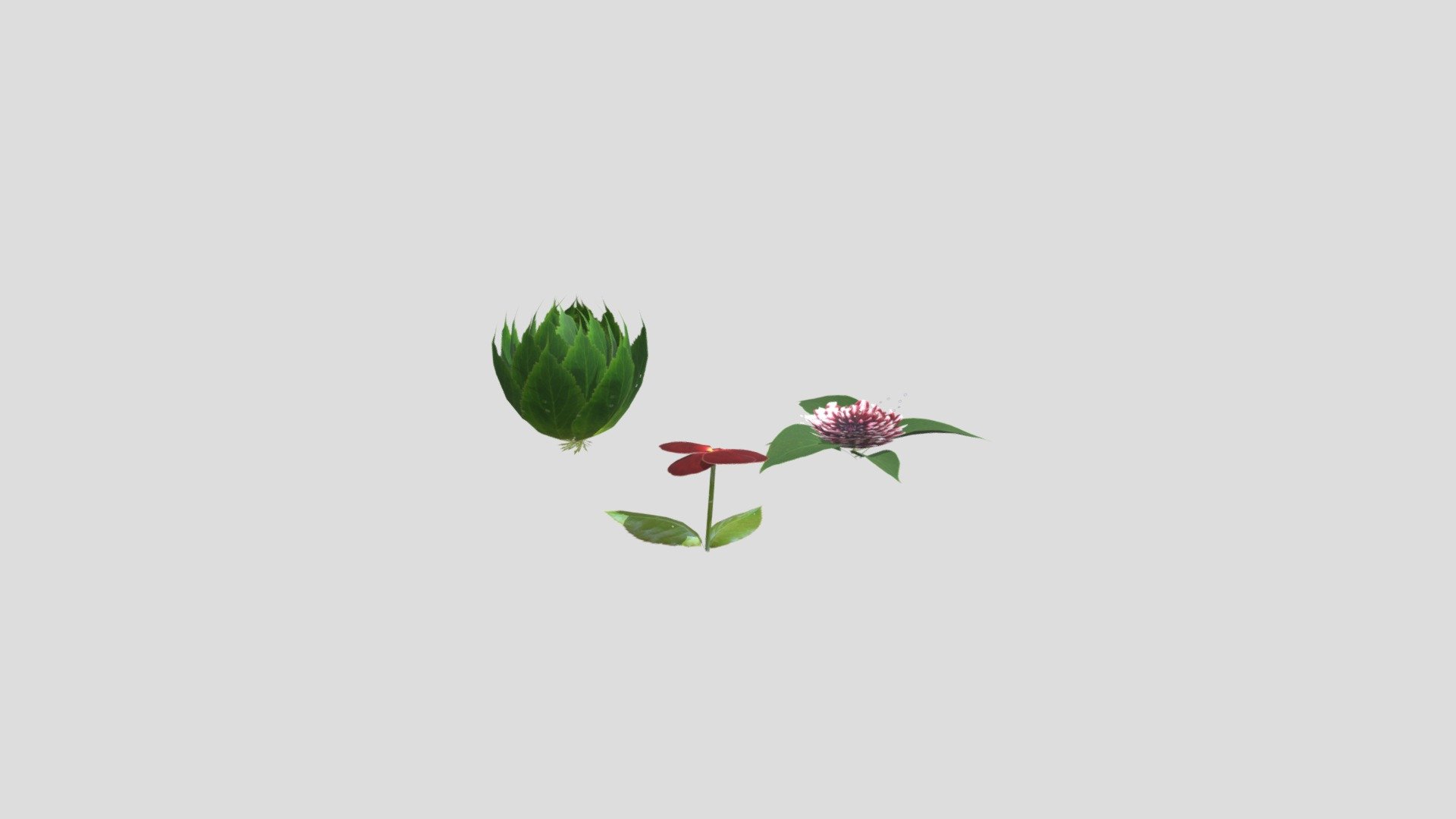 PlantFBX