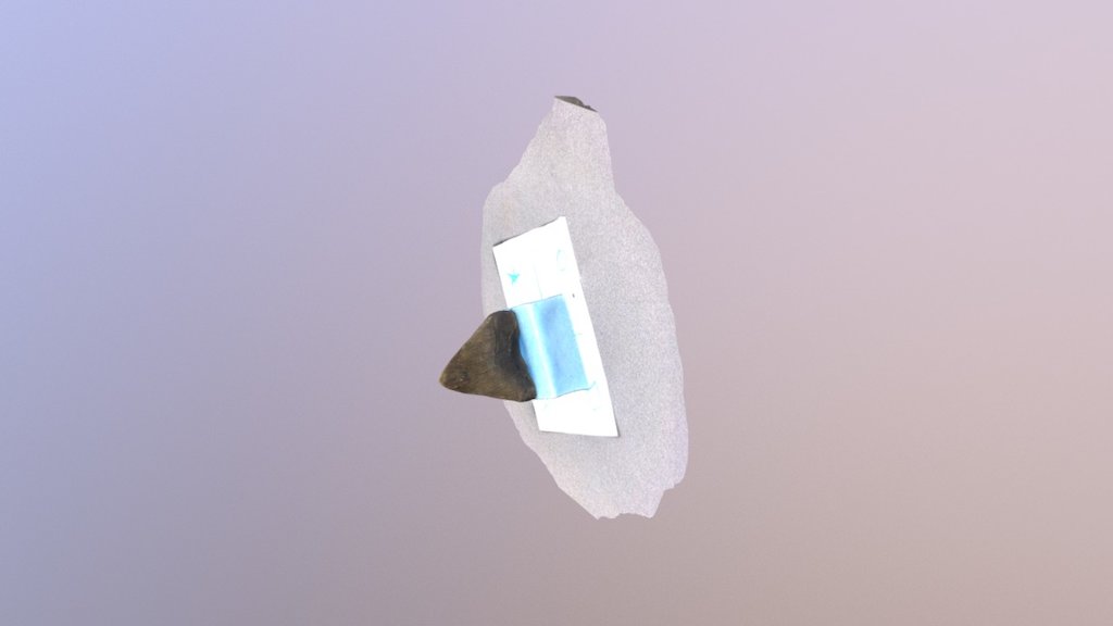 Tooth