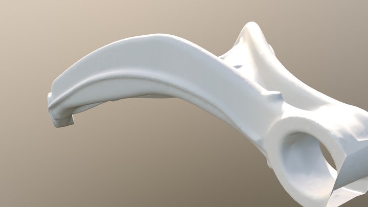 Fork 3D Model