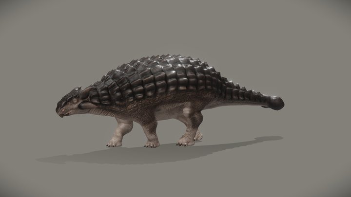 Ankylosaurus Dinosaurs - 3D Model Animated - PixelBoom