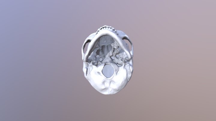 Calavera dot Max 3D Model