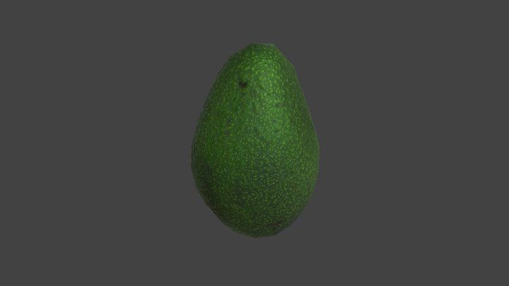 avocado 3D Model