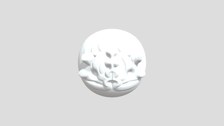 My model 3D Model