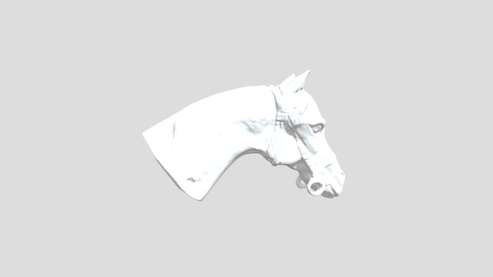MODELO Cabeza Caballo - 5cm 3D Model