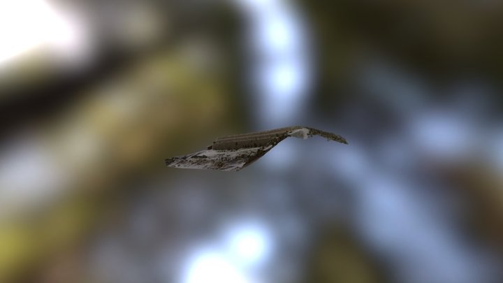 Test Simplified 3d Mesh 3D Model